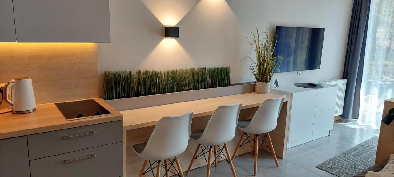 זקופאנה Apartament Na Rowni מראה חיצוני תמונה